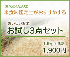 おいしいお米お試し3点セット