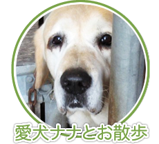 愛犬ナナとお散歩
