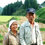 生産農家
