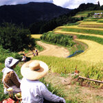 兵庫県香美町村岡区・小代区