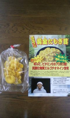 20101222162037.jpg