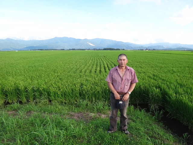 イクヒカリ　鹿児島県肝属郡東串良町　大幸農産　中島正幸さん　早期米の視察　コメショウ