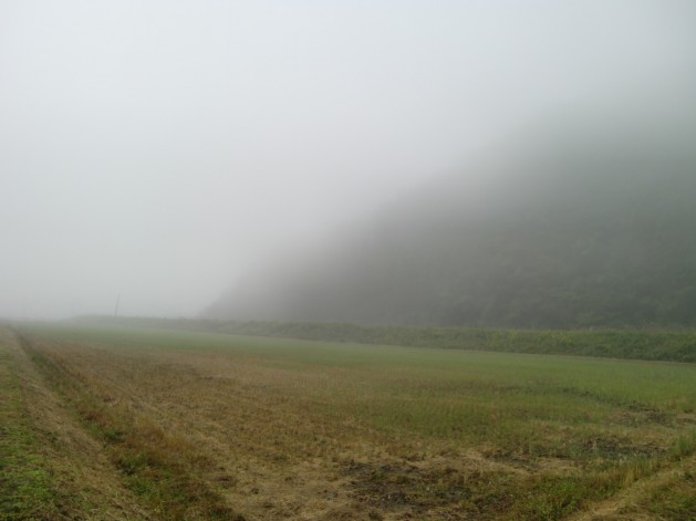 注連川の糧