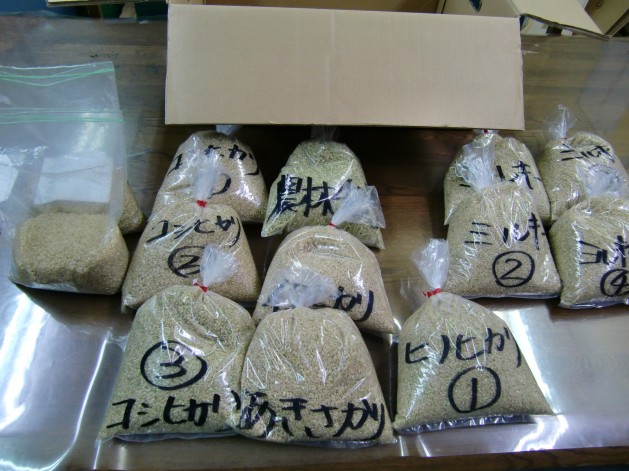 サンプル玄米