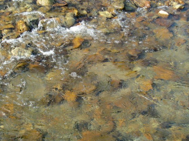 阿武川の水