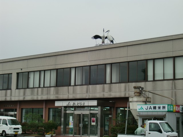 豊岡市八社宮４９０