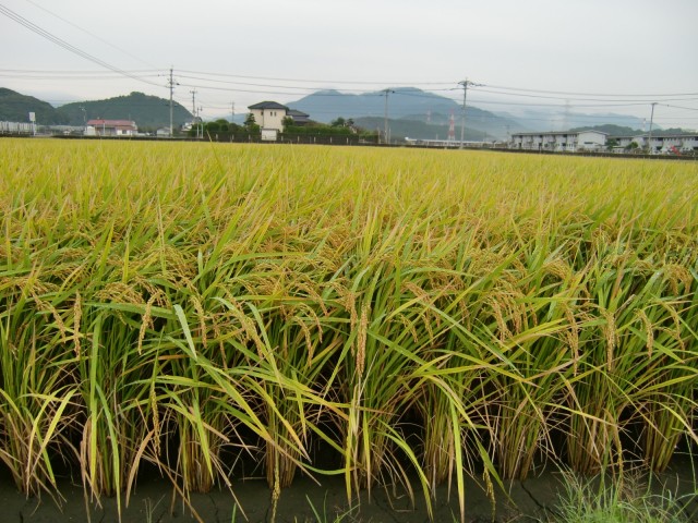 島根県吉賀町へ