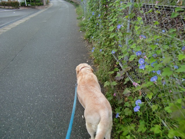 島根県吉賀町へ