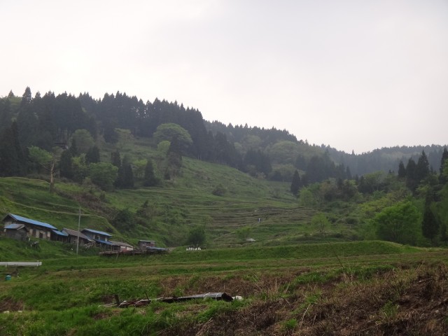 兵庫県但馬　美方郡香美町村岡区熊波　熊波の棚田　コメショウ