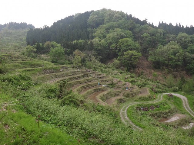 兵庫県但馬　美方郡香美町村岡区熊波　熊波の棚田　コメショウ