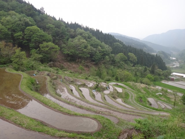 兵庫県但馬　美方郡香美町村岡区熊波　熊波の棚田　コメショウ