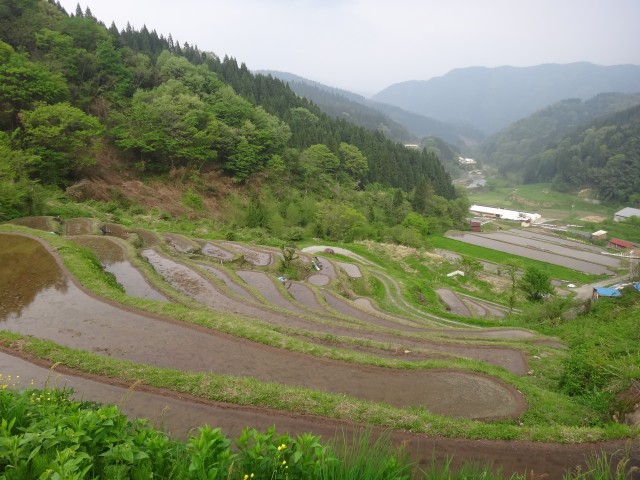 兵庫県但馬　美方郡香美町村岡区熊波　熊波の棚田　コメショウ