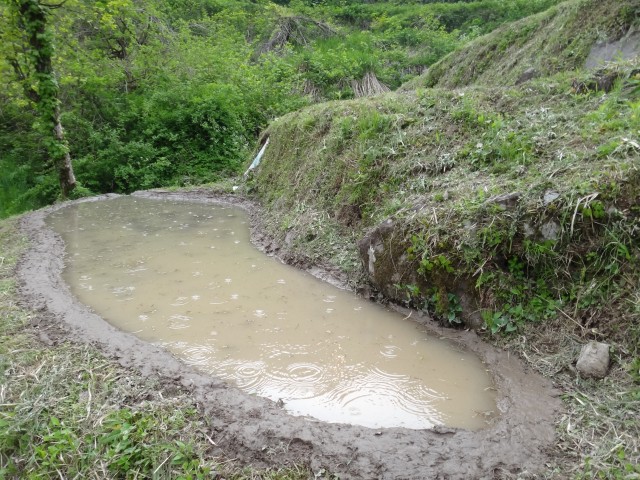 兵庫県但馬　美方郡香美町村岡区熊波　熊波の棚田　コメショウ