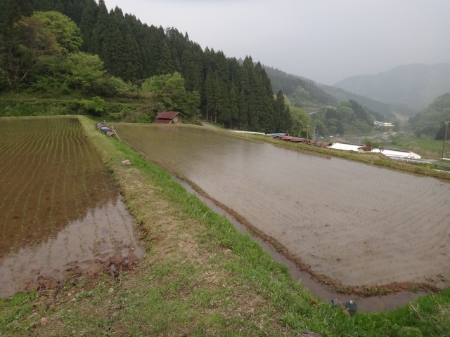 兵庫県但馬　美方郡香美町村岡区熊波　熊波の棚田　コメショウ