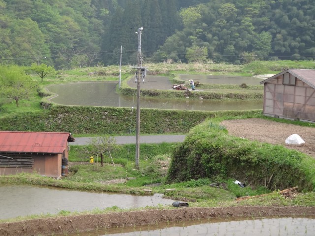 兵庫県但馬　美方郡香美町村岡区熊波　熊波の棚田　コメショウ