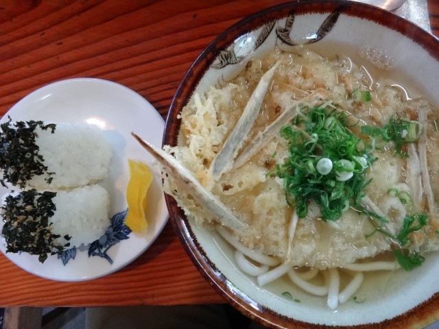 コメショウ　今日のお昼ごはん　山口県 美祢市東厚保町　七福屋　厚保店　ごぼう天うどん　おむすび