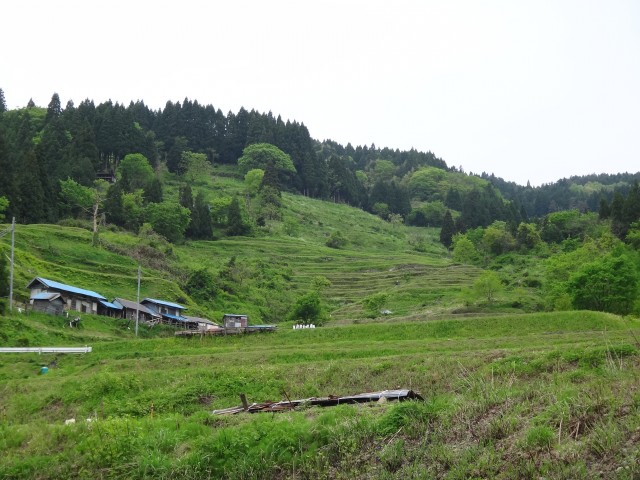 兵庫県但馬　美方郡香美町村岡区熊波　熊波の棚田　コメショウ