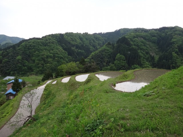 兵庫県但馬　美方郡香美町村岡区熊波　熊波の棚田　コメショウ