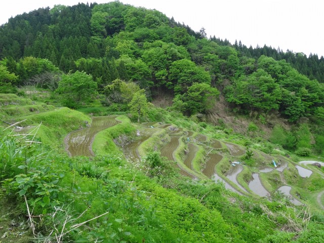 兵庫県但馬　美方郡香美町村岡区熊波　熊波の棚田　コメショウ