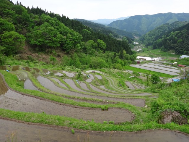 兵庫県但馬　美方郡香美町村岡区熊波　熊波の棚田　コメショウ