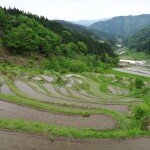 兵庫県但馬　美方郡香美町村岡区熊波　熊波の棚田　コメショウ