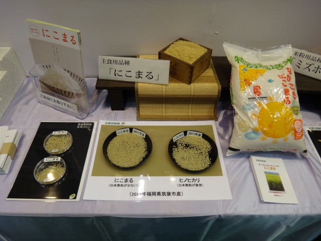 （独）農業･食品産業技術総合研究機構 　九州沖縄農業研究センター　水稲　主食用　にこまる　コメショウ