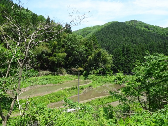 兵庫県但馬　美方郡新温泉町千谷　山間の棚田　コメショウ