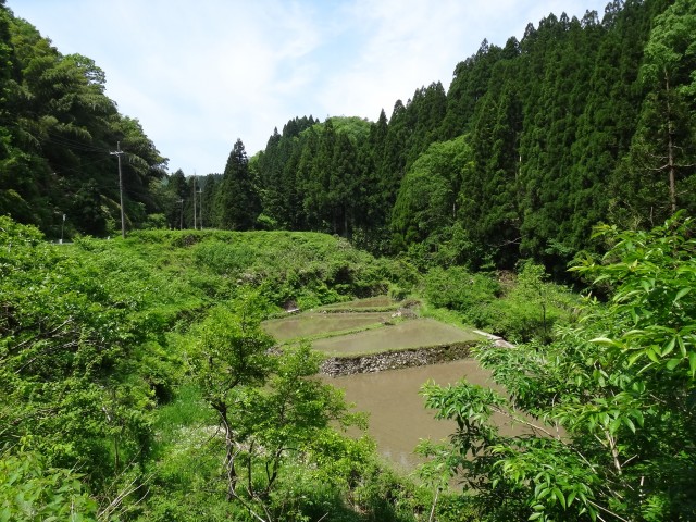 兵庫県但馬　美方郡新温泉町千谷　山間の棚田　コメショウ