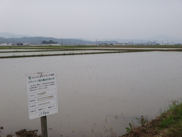 コウノトリ育む農法　ＪＡたじま　兵庫県豊岡市出石町伊豆地区　コメショウ