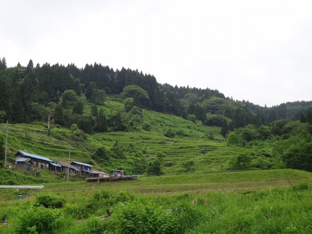 兵庫県但馬　美方郡香美町村岡区熊波　熊波の棚田　コメショウ