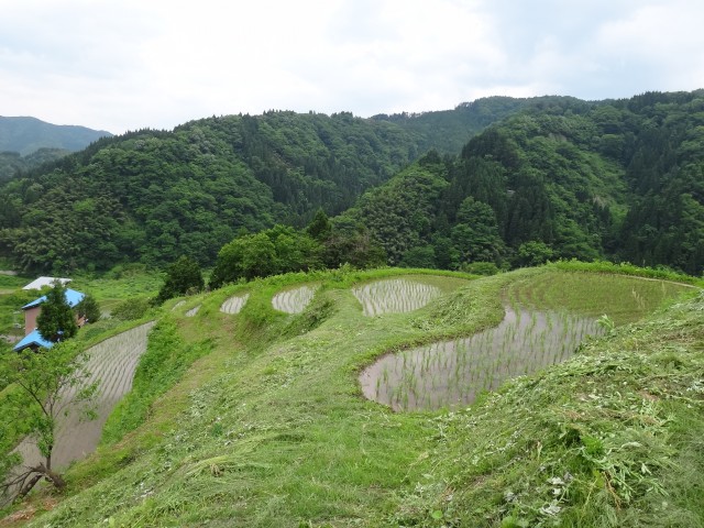 兵庫県但馬　美方郡香美町村岡区熊波　熊波の棚田　コメショウ