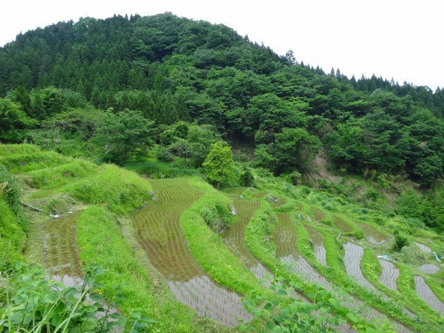 兵庫県但馬　美方郡香美町村岡区熊波　熊波の棚田　コメショウ