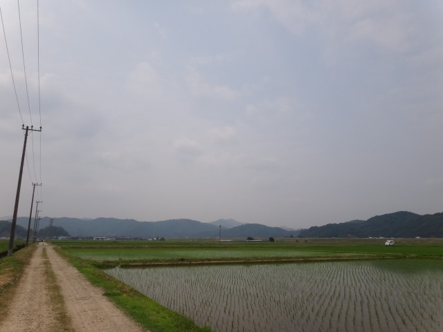 コメショウ　コウノトリ　兵庫県但馬　豊岡市出石町伊豆地区　人工巣塔