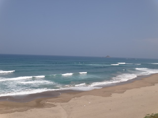 コメショウ 鳥取県鳥取市白兎 白兎海岸 コメショウ 鳥取県鳥取市白兎 白兎海岸