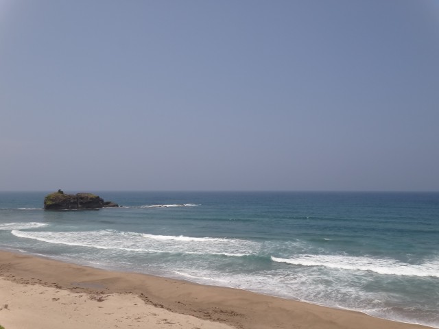 コメショウ 鳥取県鳥取市白兎 白兎海岸 コメショウ 鳥取県鳥取市白兎 白兎海岸