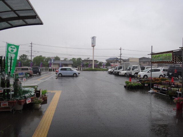 コメショウ　ホームセンター　ナフコ　買い物　大雨