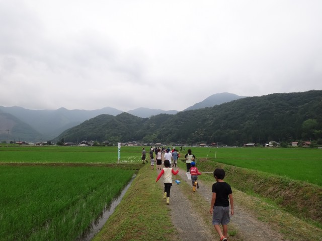 島根県鹿足郡吉賀町注連川　注連川の糧　第６回　注連川に集う会　生き物調査　コメショウ