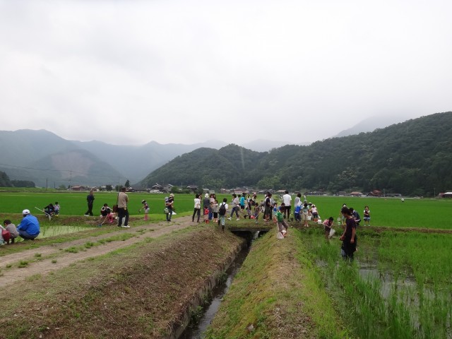 島根県鹿足郡吉賀町注連川　注連川の糧　第６回　注連川に集う会　生き物調査　コメショウ