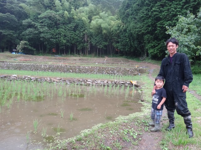 渡辺周治　島根県鹿足郡吉賀町注連川　棚田　有機無農薬