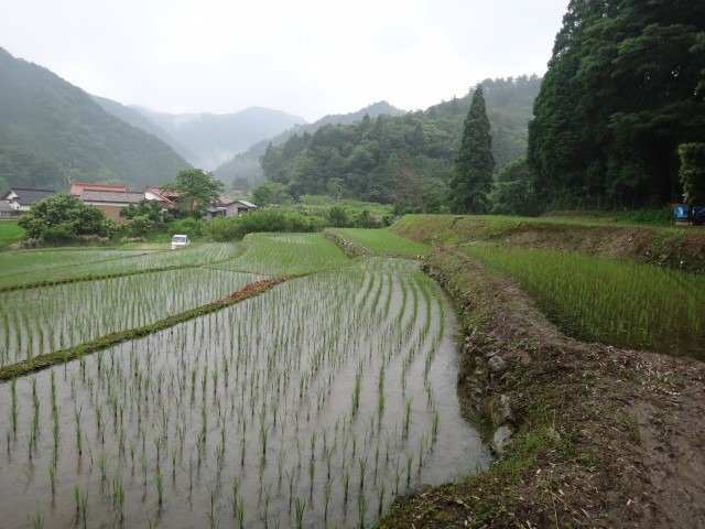 渡辺周治　島根県鹿足郡吉賀町注連川　棚田　有機無農薬