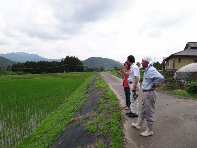 島根県鹿足郡吉賀町田野原　川瀬知美　圃場視察　マルイ有機　コメショウ