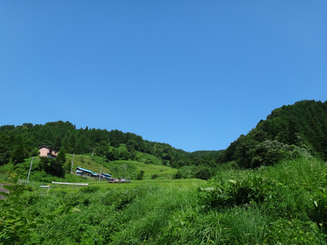 熊波の棚田　兵庫県但馬　美方郡香美町村岡区熊波　棚田米コシヒカリ　株式会社日食