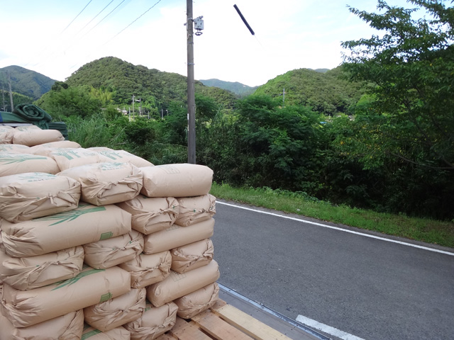 株式会社日食　熊本県天草市河浦町　倉田晋一　２４年産　新米コシヒカリ　積み込み　産地ｒ特選米