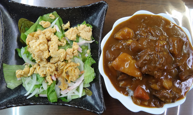 株式会社日食　今日のお昼ごはん　牛スジカレー　サラダ