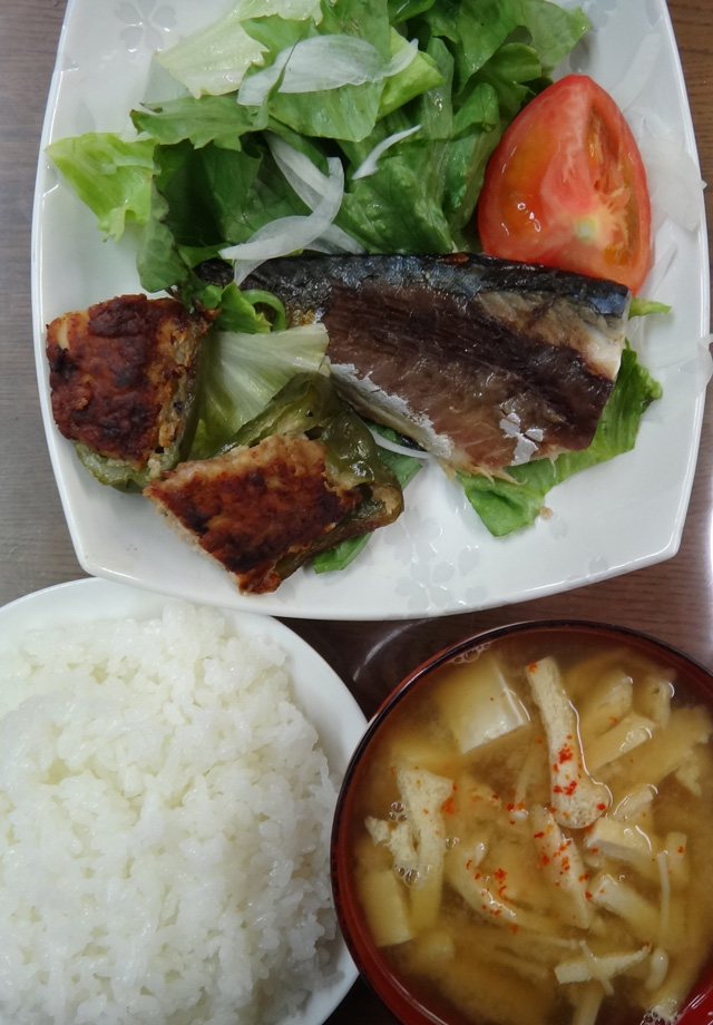 株式会社日食　今日のお昼ごはん　ごはん　味噌汁　塩サバ　ピーマンの肉詰め　サラダ