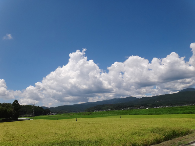 株式会社日食　鹿児島県伊佐市大口山野　有限会社ライス郷井手口　九州山地