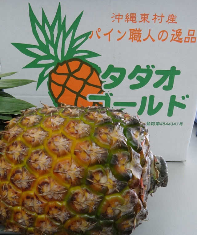 株式会社日食　沖縄県　パイナップル　タダオゴールド　玉城忠男さん