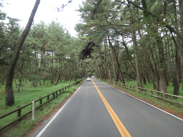 株式会社日食　虹の松原　佐賀県唐津市浜玉町　県道３４７号線　唐津街道