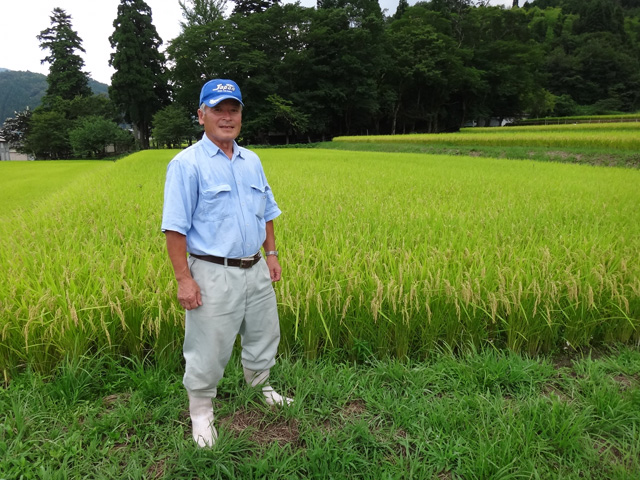 株式会社日食　中村博さん　【但馬　村岡米　極】　棚田米コシヒカリ　兵庫県但馬　　美方郡香美町村岡区市原