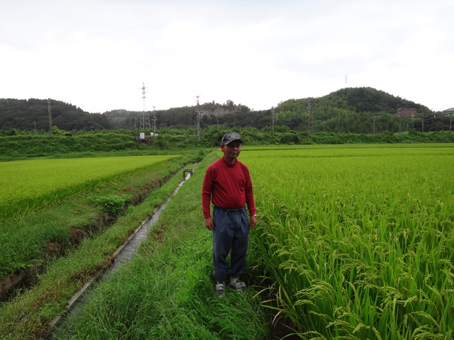 株式会社日食　産地特選米　牧野三男さん　大分県杵築市山香町広瀬　ヒノヒカリ